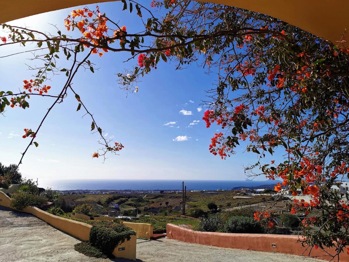 Vineyards Hill Villa Megalochori  Extérieur photo